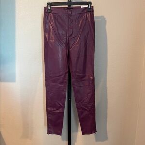 Zara Purple Skinny Pants